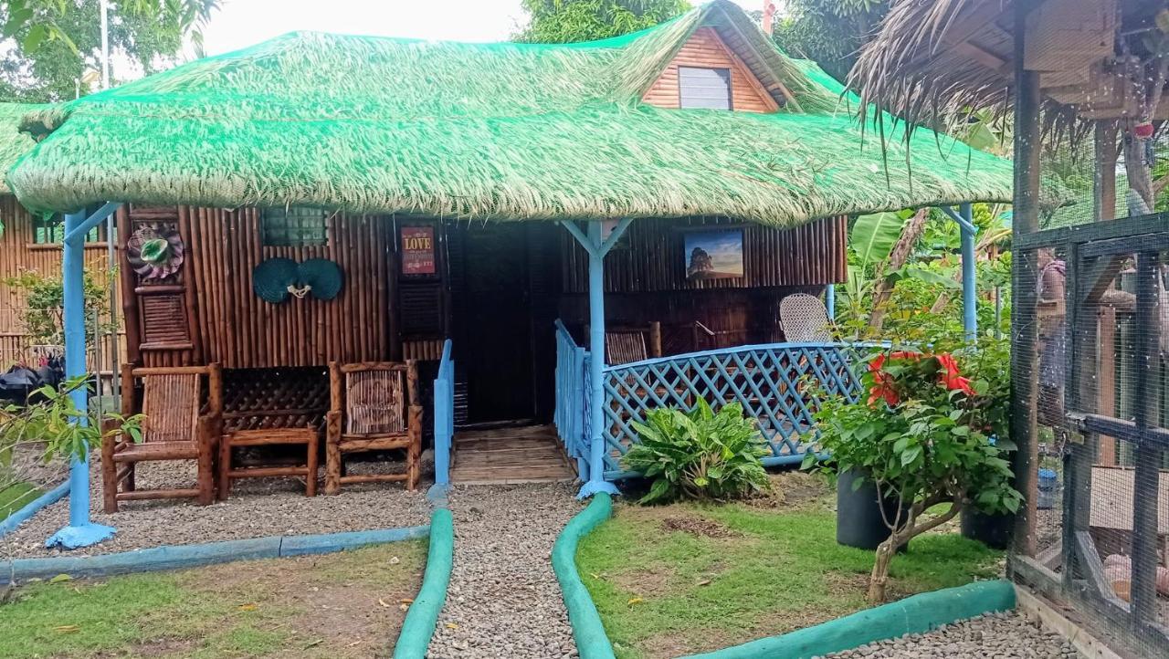 Moalboal Bamboo House / Rooms Exterior foto