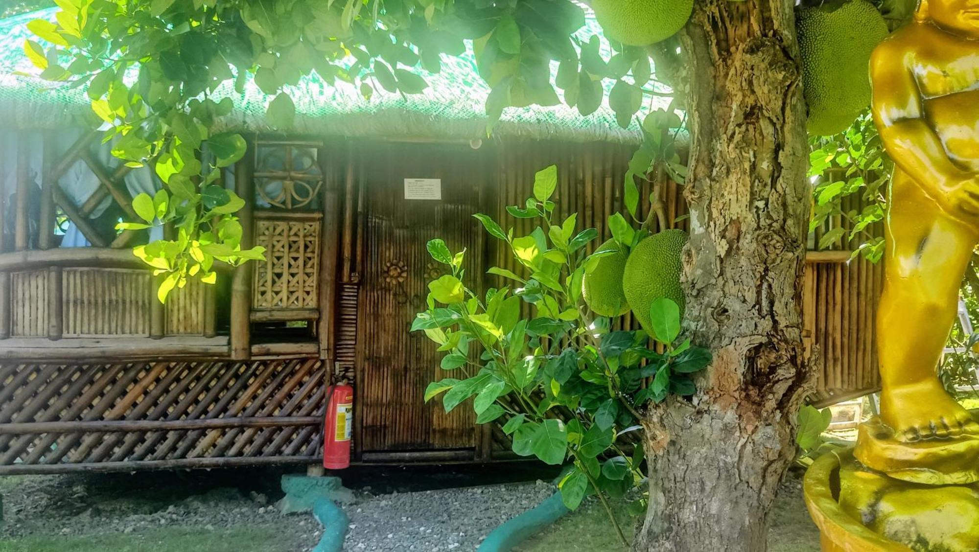 Moalboal Bamboo House / Rooms Habitación foto