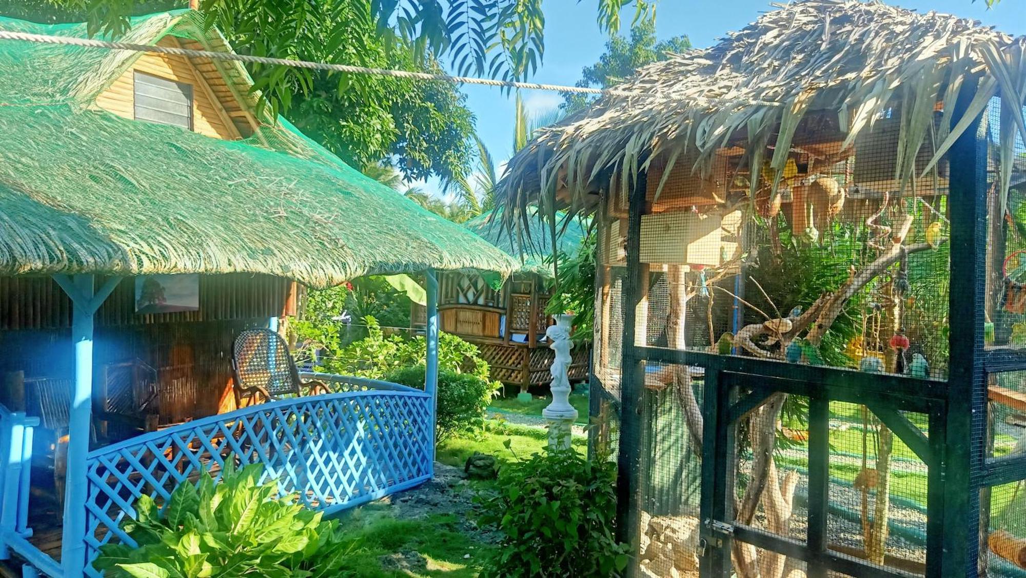 Moalboal Bamboo House / Rooms Habitación foto